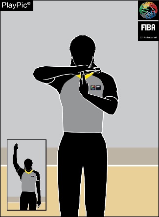 TECHNICAL FOUL — Form T, showing palms